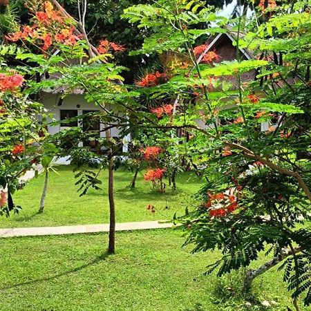 Namaste Bungalows Sakti Exterior photo